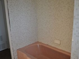 GuestBath_2735.jpg